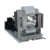 EcoLAP - BenQ 5J.J5405.001 Ersatzlampe / Modul 5JJ5405001