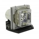 EcoLAP - Acer EC.J6400.001 Ersatzlampe / Modul ECJ6400001