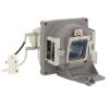 EcoLAP - ViewSonic RLC-100 Ersatzlampe / Modul RLC100