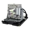 EcoLAP - BenQ 5J.J8805.001 Ersatzlampe / Modul 5JJ8805001