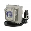 EcoLAP - Optoma SP.8PJ01GC01 Ersatzlampe / Modul BL-FU190A