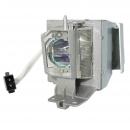 EcoLAP  - Optoma SP.8VH01GC01 Ersatzlampe