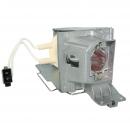 EcoLAP - Acer MR.JK611.008 Ersatzlampe / Modul MRJK611008