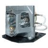 EcoLAP - Acer MC.JG611.001 Ersatzlampe / Modul MCJG611001