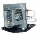 EcoLAP - Acer EC.K0100.001 Ersatzlampe / Modul ECK0100001