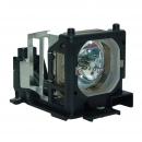 EcoLAP - ViewSonic RLC-007 Ersatzlampe / Modul RLC007