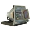 EcoLAP - Foxconn P8984-1021 Ersatzlampe / Modul P89841021