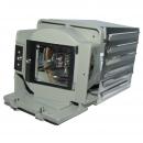 EcoLAP - Acer EC.JD700.001 Ersatzlampe