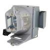 EcoLAP - InFocus SP-LAMP-101 Ersatzlampe / Modul SPLAMP101