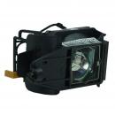 EcoLAP - IBM 33L3456 Ersatzlampe