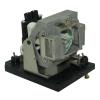 EcoLAP - Sanyo POA-LMP117 Ersatzlampe / Modul 610-335-8406