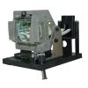 EcoLAP - Sanyo POA-LMP117 Ersatzlampe / Modul 610-335-8406