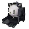 EcoLAP - Panasonic ET-LAE300 Ersatzlampe / Modul ETLAE300