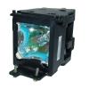 EcoLAP - Panasonic ET-LAE500 Ersatzlampe / Modul ET-LAE500