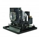 EcoLAP - Panasonic ET-LAE1000 Ersatzlampe / Modul ETLAE1000