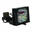 EcoLAP - Philips LCA3115 Ersatzlampe / Modul LCA3115/00