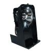 EcoLAP - Sanyo POA-LMP76 Ersatzlampe