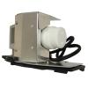 EcoLAP - Acer EC.JC900.001 Ersatzlampe / Modul