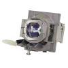 EcoLAP - Viewsonic RLC-124 Ersatzlampe / Modul