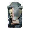 HyBrid UHP - Optoma SP.8BY01GC01 - Philips Lampe mit Gehuse BL-FU280B