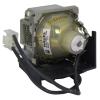 HyBrid UHP BenQ 5J.J2C01.001 Philips Lampe mit Gehuse 5JJ2C01001