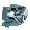 HyBrid SHP - BenQ 5J.J5205.001 - Phoenix Lampe mit Gehuse 5JJ5205001
