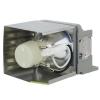 HyBrid UHP - BenQ 5J.J5E05.001 - Philips Lampe mit Gehuse 5JJ5E05001