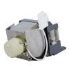 HyBrid UHP - BenQ 5J.J8F05.001 - Philips Lampe mit Gehuse 5JJ8F05001