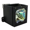 HyBrid NSH - Nec GT50LP - Ushio Lampe mit Gehuse GT50LP