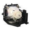 HyBrid NSH - Nec NP15LP - Ushio Lampe mit Gehäuse 60003121