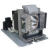 HyBrid UHP - BenQ 5J.J8M05.011 - Philips Lampe mit Gehäuse 5J.J8M05.001
