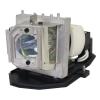 HyBrid UHP - Acer MC.JGG11.001 - Philips Lampe mit Gehuse MCJGG11001
