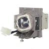 HyBrid UHP - BenQ 5J.JKX05.001 - Philips Lampe mit Gehuse 5JJKX05001