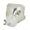 Ushio NSH Beamerlampe f. Sanyo POA-LMP113 ohne Gehuse 610-336-0362