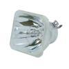 Ushio NSHA230YT - Originallampe 1700022500