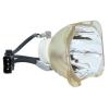 Ushio NSH Beamerlampe f. Toshiba TLP-LW14 ohne Gehuse TLPLW14