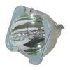 Philips UHP 9281 289 05390 ohne Gehuse TOP289