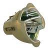 Philips UHP Beamerlampe f. Christie 003-000884-01 ohne Gehuse 00300088401