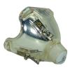 Philips UHP Beamerlampe f. InFocus SP-LAMP-017 ohne Gehuse SPLAMP017