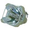 Philips UHP Beamerlampe f. Sanyo POA-LMP36 ohne Gehuse 610-293-8210