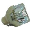 Eiki POA-LMP65 Philips Projector Bare Lamp