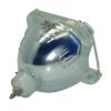 Philips UHP Beamerlampe f. Planar 151-0005 ohne Gehuse 150-0142-01