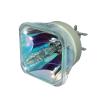 Philips UHP Beamerlampe f. Hitachi DT02061 ohne Gehäuse DT02061
