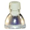 Philips UHP Beamerlampe f. BenQ 5J.JCV05.001 ohne Gehuse 5JJCV05001