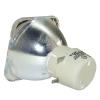 Philips UHP Beamerlampe f. BenQ 5J.JCV05.001 ohne Gehuse 5JJCV05001