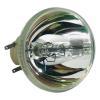 Philips UHP Beamerlampe f. BenQ 5J.JKV05.001 ohne Gehäuse