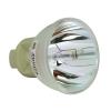 Philips UHP Beamerlampe f. ViewSonic RLC-072 ohne Gehuse RLC072