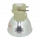Philips UHP 240-170W 0.8 E20.8 - Projektorlampe