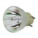 Philips UHP 240-170W 0.8 E20.8 - Projektorlampe