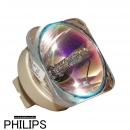 PHILIPS UHP 310-245/1.0 E20.9